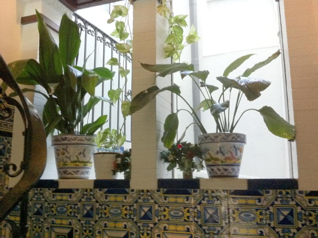 Giraldilla Hotel Sevilla Bagian luar foto